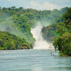 Murchison Falls Uganda: Nature's Majestic Marvel